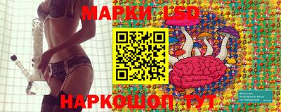 сатива Бузулук