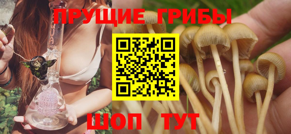 хочу наркоту  Галлюциногенные грибы Psilocybe  Вход с VPN  Междуреченск 